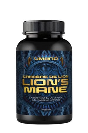 LION'S MANE Crinière de lion