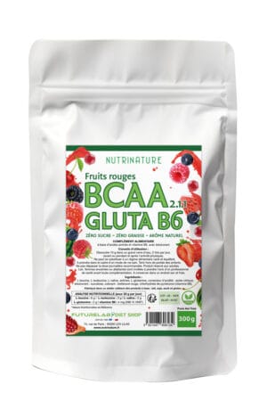 BCAA GLUTA B6 300 g