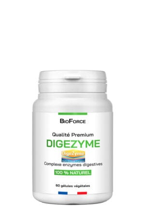 DIGEZYME   Enzymes digestives