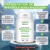 Présentation d’un complément alimentaire Rhodiola Rosea en bouteille blanche sur socle, avec texte et icônes explicatives autour.