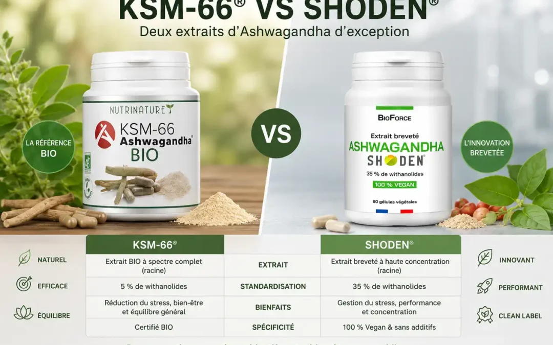 KSM-66 vs Shoden : comment choisir son ashwagandha ?